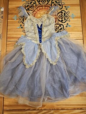 Weissman Blue and Gold Princess Tutu Costume